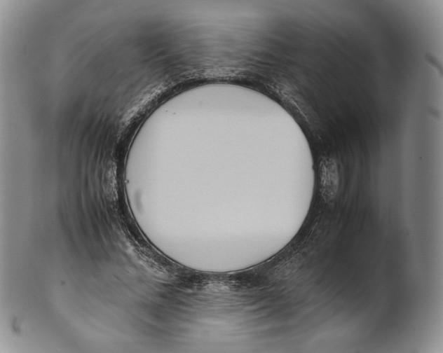 X0000100770684200807101752