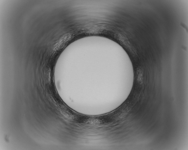 X0000100770685200807101752