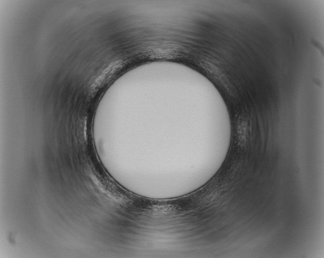X0000100770686200807101752