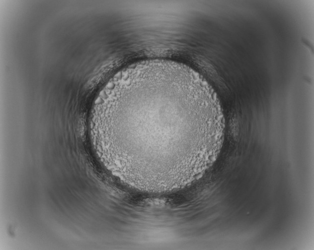 X0000100770687200807101752