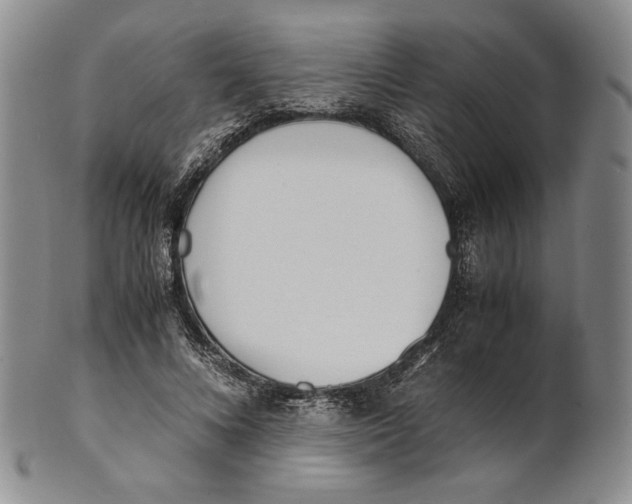 X0000100770688200807101752