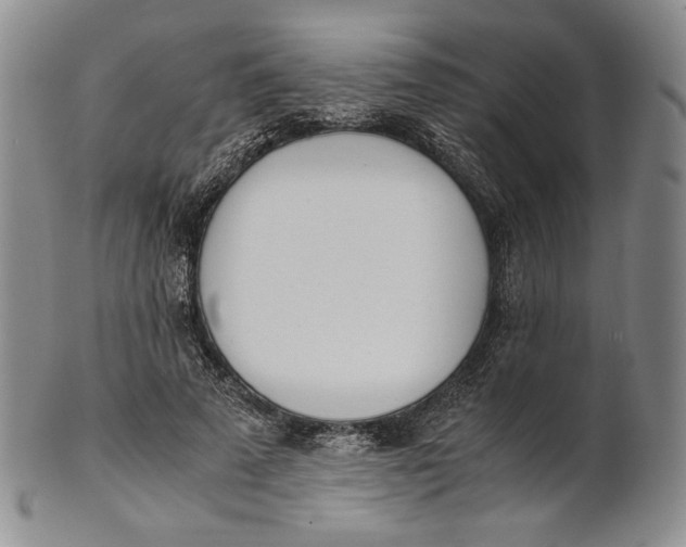 X0000100770689200807101752