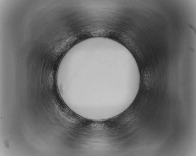 X0000100770690200807101752