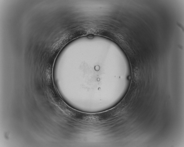 X0000100770691200807101752