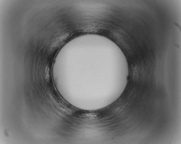 X0000100770692200807101752