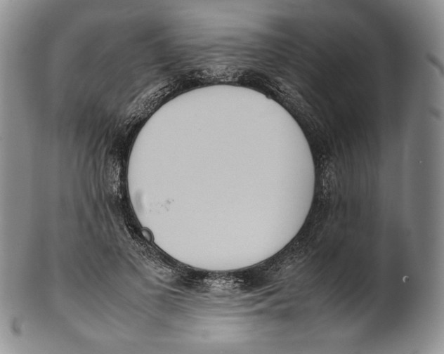 X0000100770693200807101752