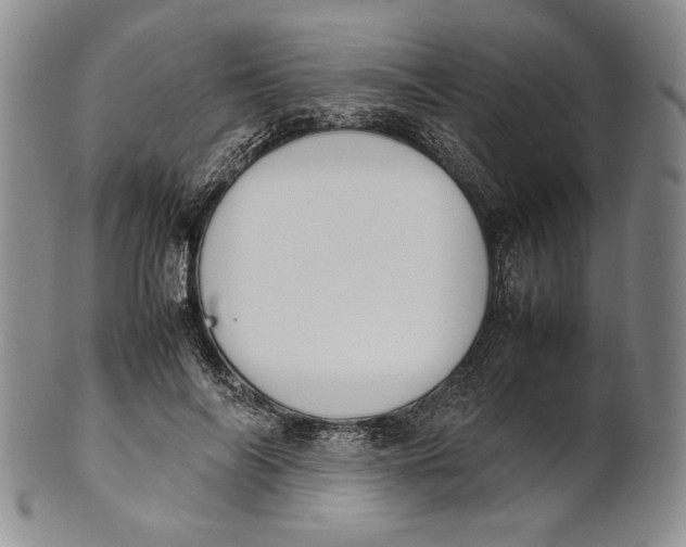 X0000100770694200807101752