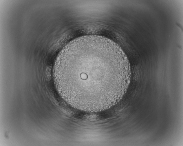 X0000100770695200807101752