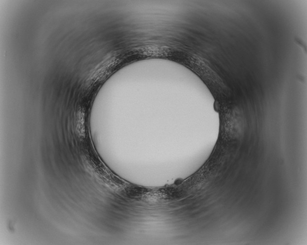 X0000100770696200807101752