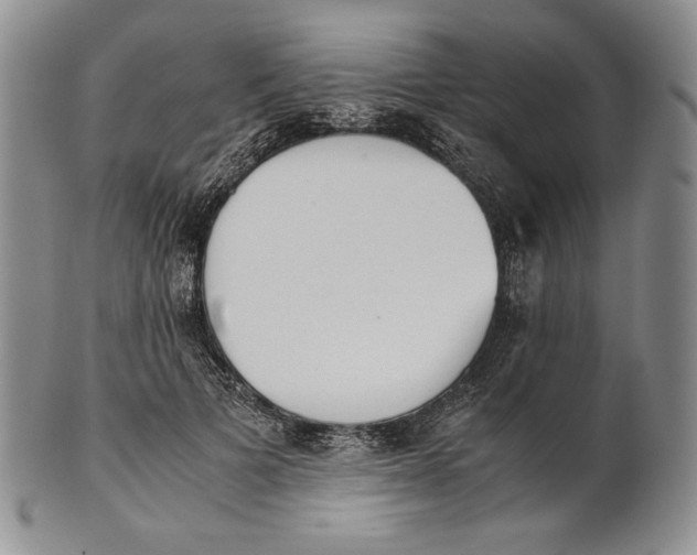 X0000100770697200807101752