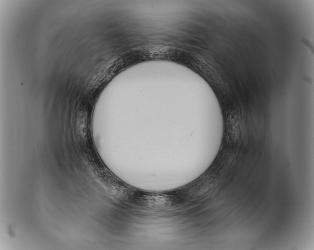 X0000100770698200807101752