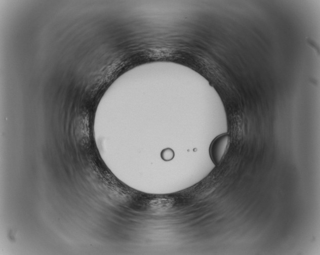 X0000100770700200807101752