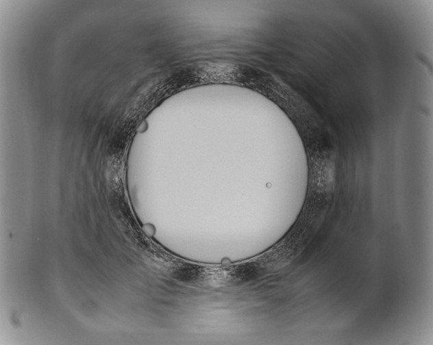 X0000100770701200807101752