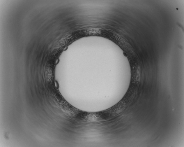 X0000100770704200807101752