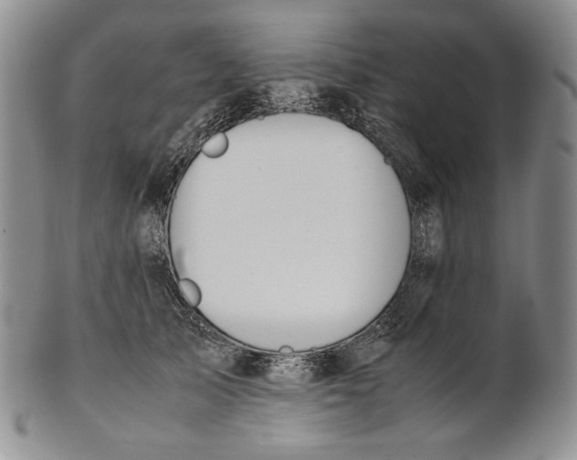 X0000100770705200807101752