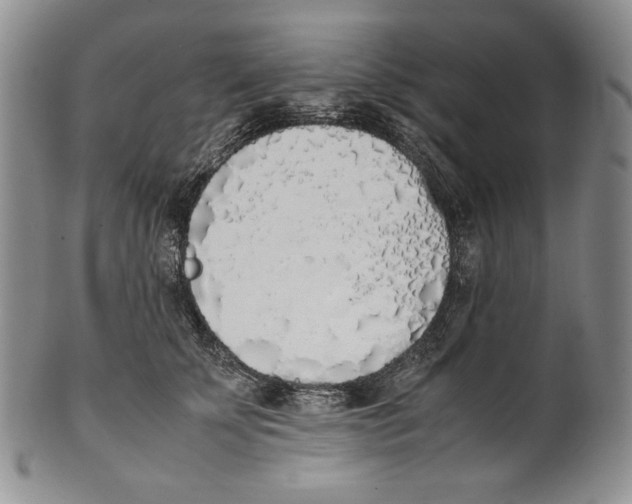 X0000100770707200807101751