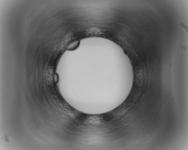 X0000100770708200807101751