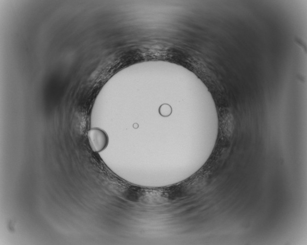 X0000100770709200807101751