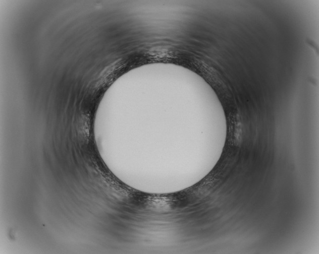 X0000100770710200807101751