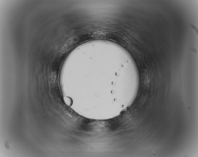 X0000100770711200807101751