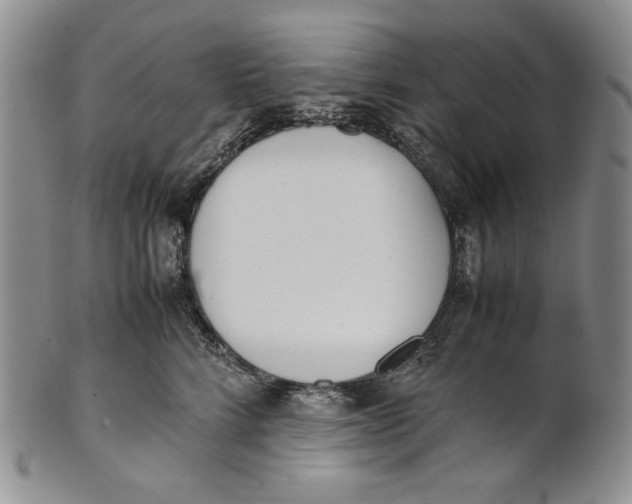X0000100770712200807101751