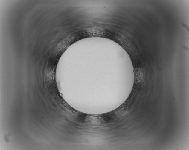 X0000100770713200807101751