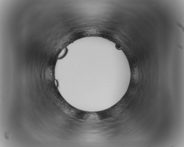 X0000100770715200807101751