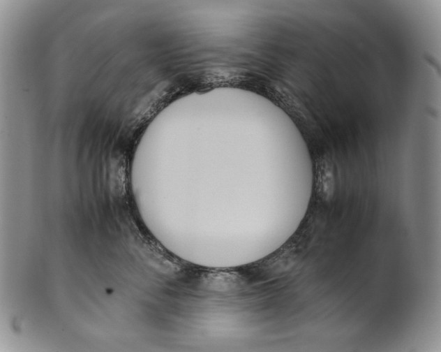X0000100770716200807101751