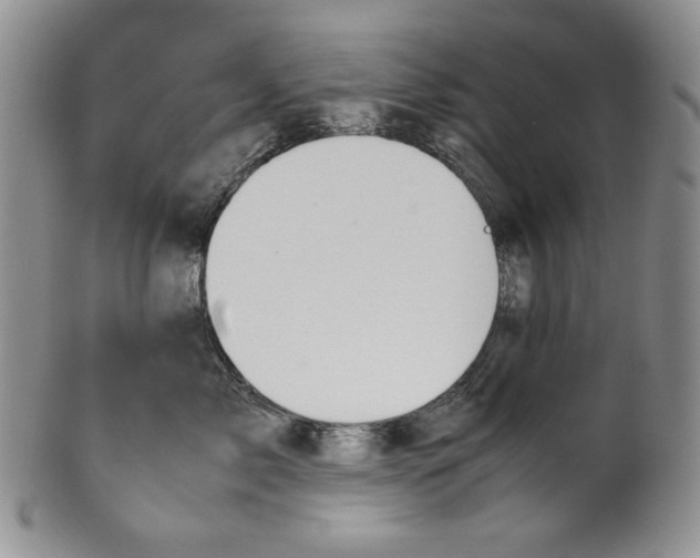 X0000100770717200807101751