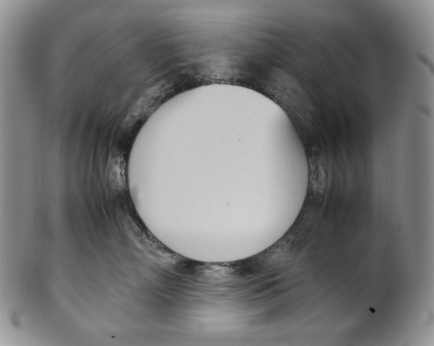 X0000100770718200807101751