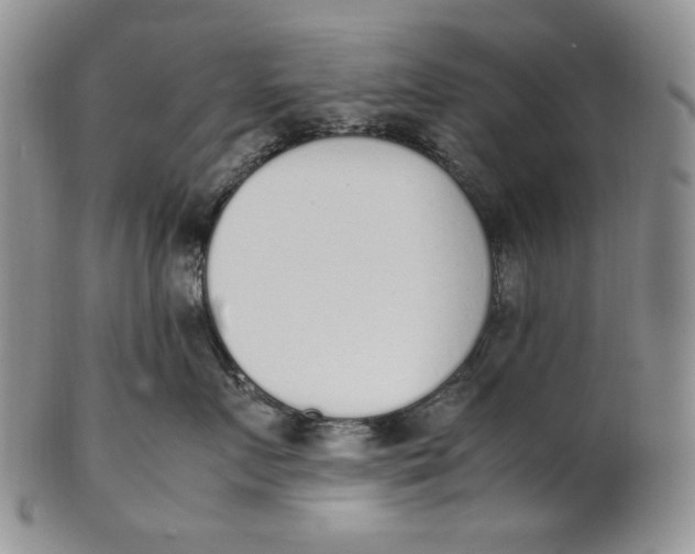 X0000100770719200807101751