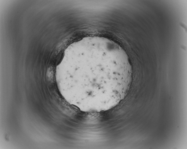 X0000100770720200807101751