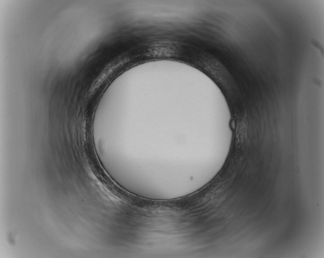 X0000100770722200807101750
