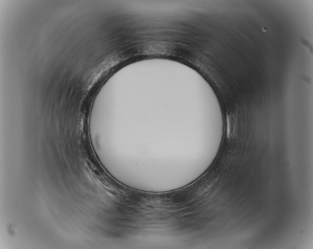 X0000100770723200807101750