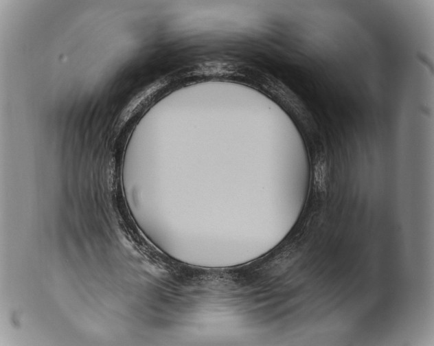 X0000100770724200807101750