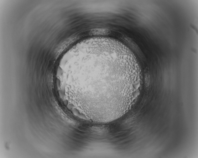 X0000100770725200807101750