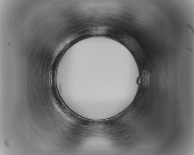 X0000100770726200807101750
