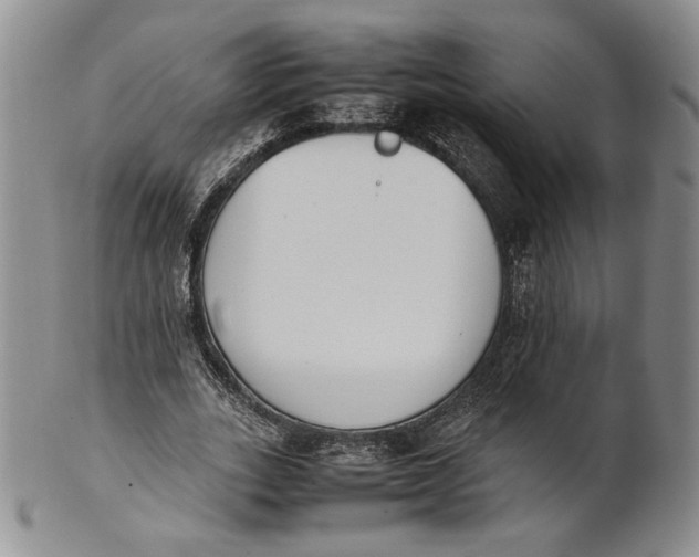 X0000100770727200807101751