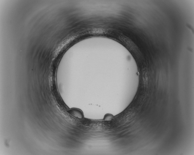 X0000100770728200807101751