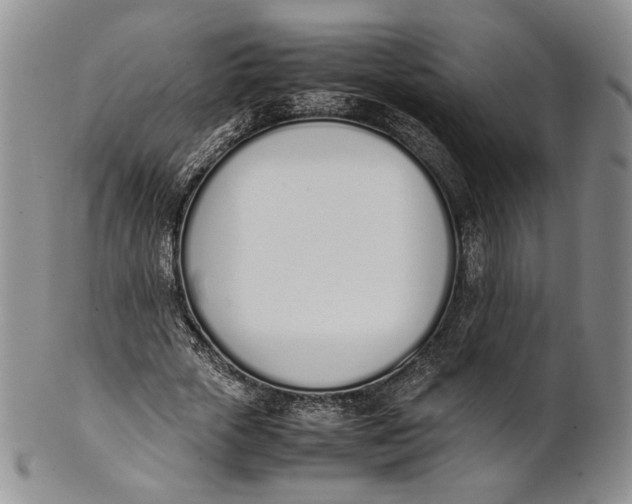 X0000100770729200807101751