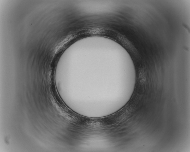 X0000100770730200807101751