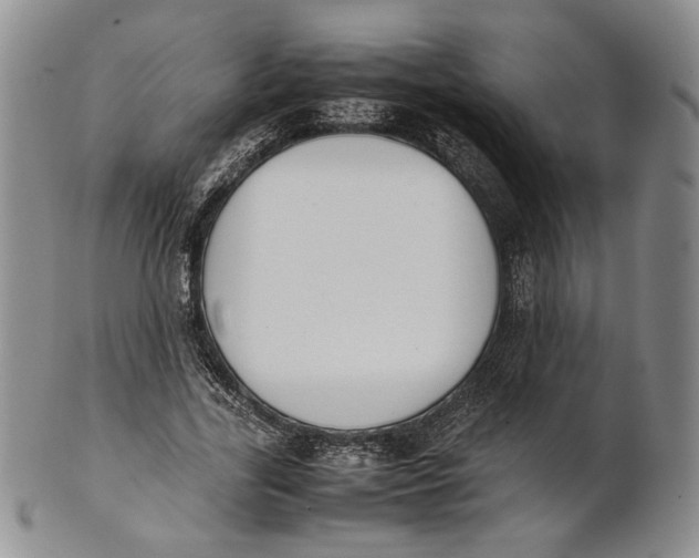 X0000100770731200807101751