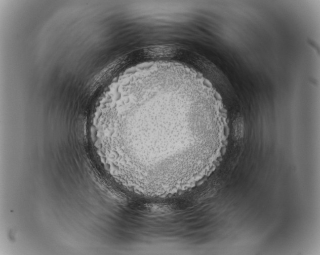 X0000100770733200807101751