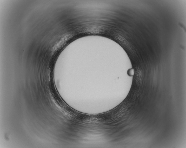 X0000100770734200807101751
