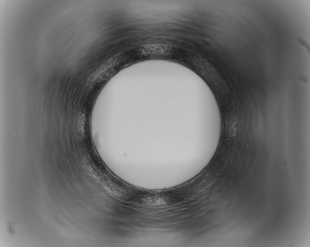 X0000100770735200807101751