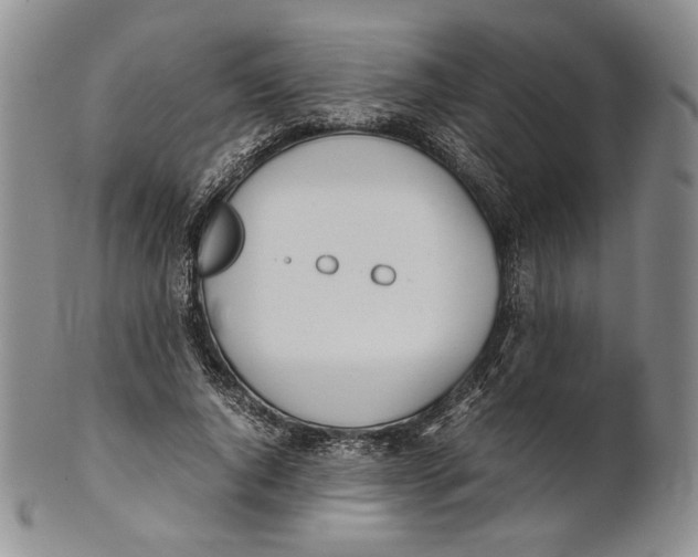 X0000100770736200807101751