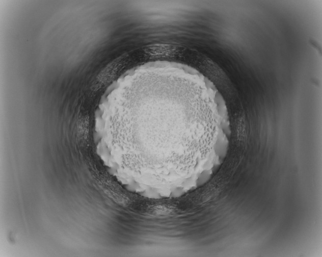 X0000100770737200807101751