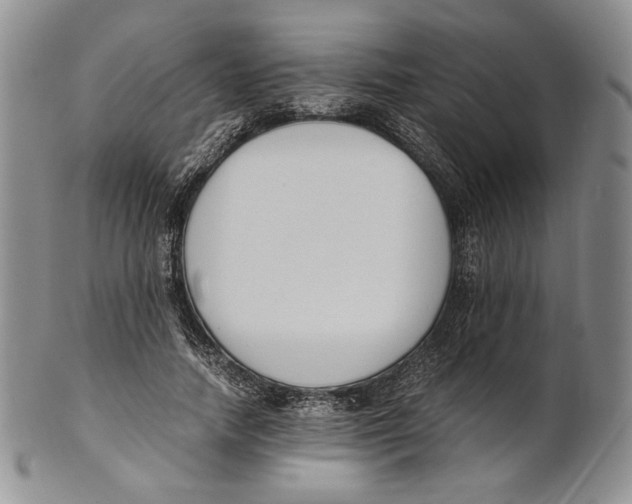 X0000100770738200807101751