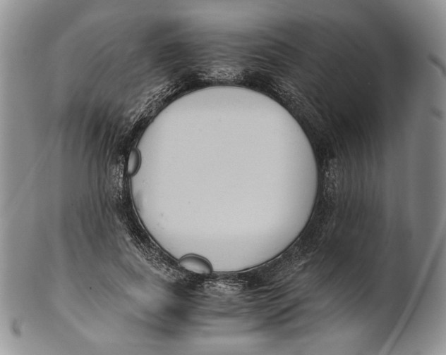 X0000100770739200807101751