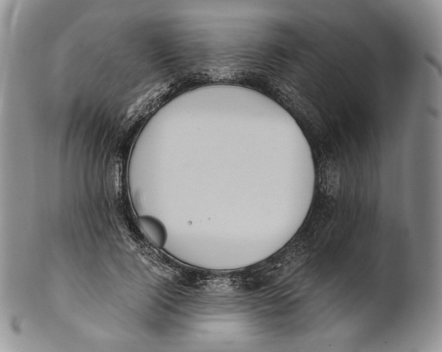X0000100770740200807101751
